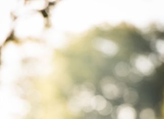 Wedding Hair With Flowers & jewels : Hairstyle — Fresh Flowers — See more of this Fall Farm Wedding at Sweetwater F…