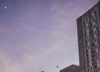 Fashion Editorial : Photo