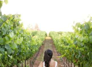 Beautiful Brand Wedding Dresses : Lace trumpet wedding dress: www.stylemepretty… Photography: Jennifer Bagwell -…
