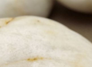 Diamond Rings : Love the band…