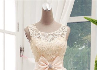 Short Wedding Dresses : Homecoming Dress,Lace Homecoming Dresses,Short Prom Gown,Champagne Homecoming Go…