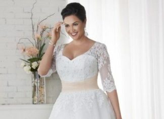 Short Wedding Dresses : Simple A-line Tea-length Straps Organza Fabric Plus Size Wedding Dresses with Ap…