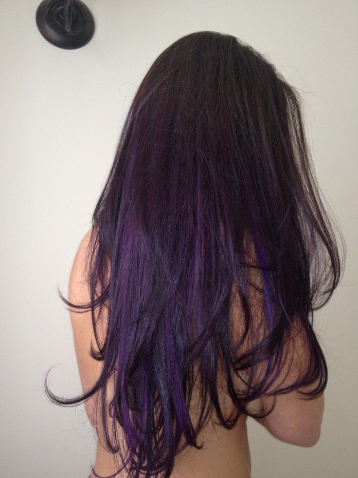 Trendy Hair Style Dark Brown Ombre Hair Tumblr Hd Purple Ombre