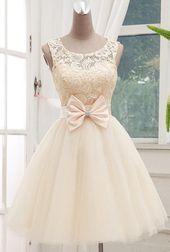 Lovely Champagne Lace Tulle Homecoming Dresses 2016, Short Prom Dresses, Lovely ...