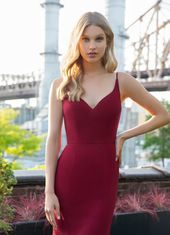Bridesmaids Dresses : Hayley Paige 5858