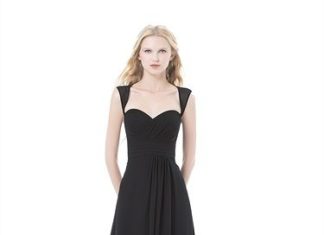 Bridesmaids Dresses : Bill Levkoff 485