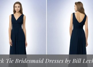 Bridesmaids Dresses : Black Tie Bridesmaid Dresses by Bill Levkoff – Wedding Shoppe