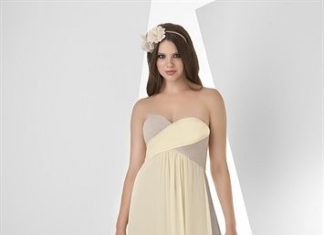 Bridesmaids Dresses : Bari Jay Bridesmaid Dress 864