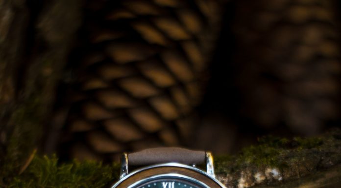 New Luxury Watches for Men in 2020 : Stanley Park (Greenheart/Marble)