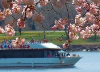 capital grille dress code : Cherry Blossom and Monuments Cruise in Washington DC