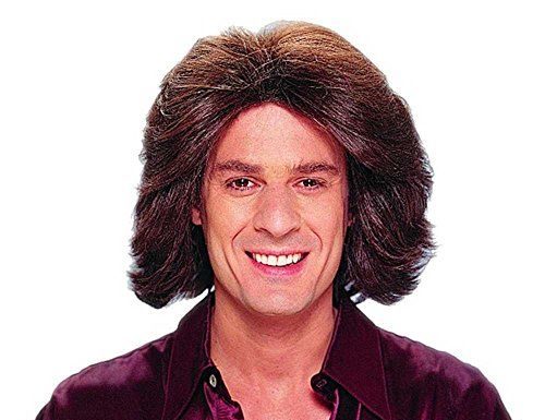 publix dress code : Franco-American Novelty Co – Feathered 70s Men’s Brown Wig (One Size)
