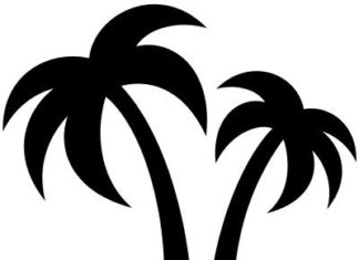 royal caribbean dress code : Royal Caribbean International