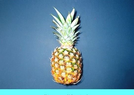 home depot dress code : #fitness lifestyle_515_20181007154452_52 #fitness quick meal, samsung – gear …