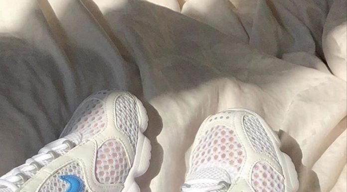 nike air zoom : 🍒