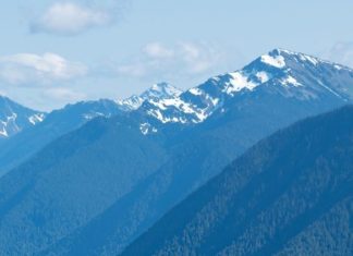 ulta dress code : Amber’s Closet