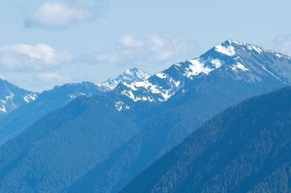 ulta dress code : Amber’s Closet